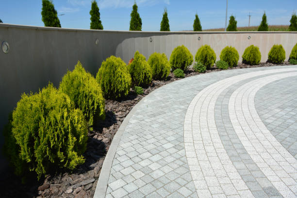 Best Brick Driveway Pavers  in Snyder, TX